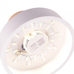 Plafón LED 15W 1250Lm Mando a Distancia (Intensidad-CCT) 10.000H [HO-CCT-DL15W]